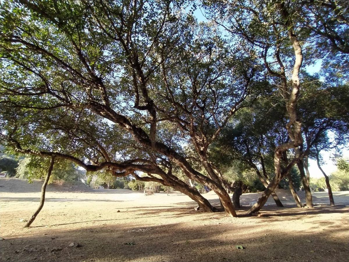 New Camping Coccorrocci Marina di Gairo Екстер'єр фото