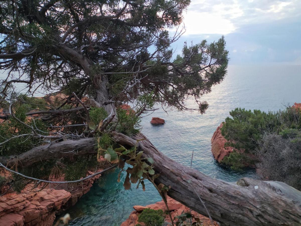 New Camping Coccorrocci Marina di Gairo Екстер'єр фото