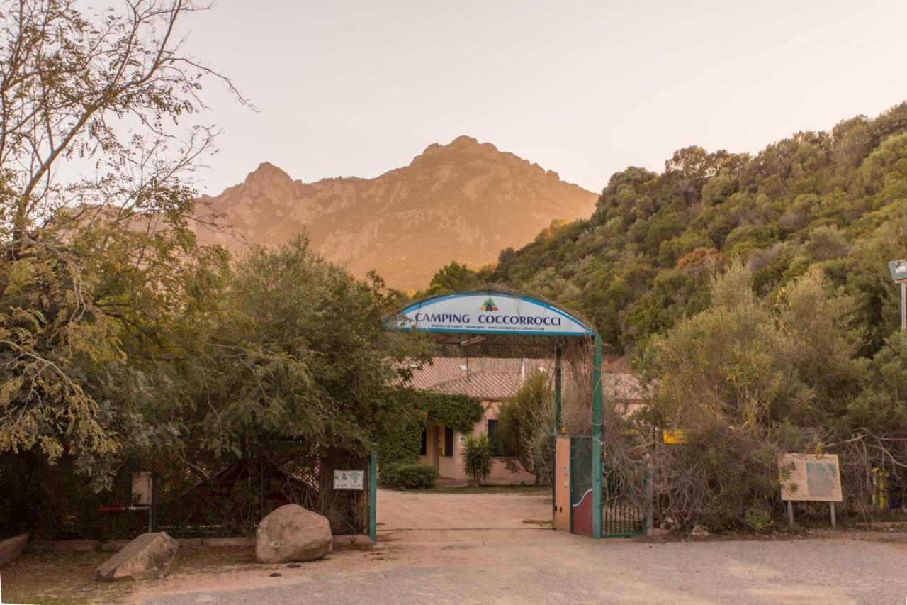 New Camping Coccorrocci Marina di Gairo Екстер'єр фото
